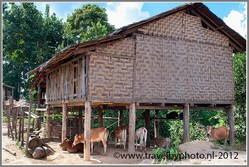 myanmar